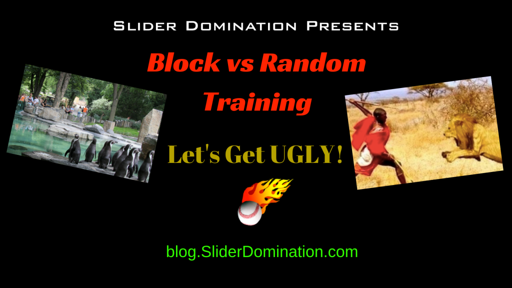 Block vs Random Training